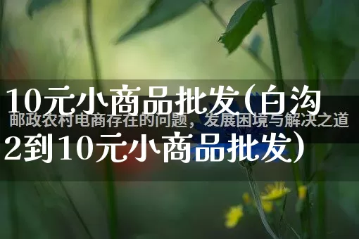 10元小商品批发(白沟2到10元小商品批发)_https://www.rzcpcj.com_代运营_第1张