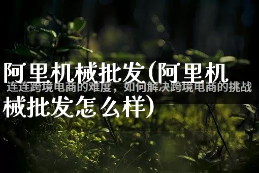 阿里机械批发(阿里机械批发怎么样)_https://www.rzcpcj.com_抖音快手_第1张