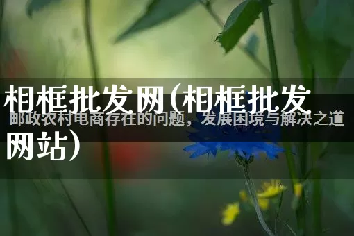 相框批发网(相框批发网站)_https://www.rzcpcj.com_天猫运营_第1张