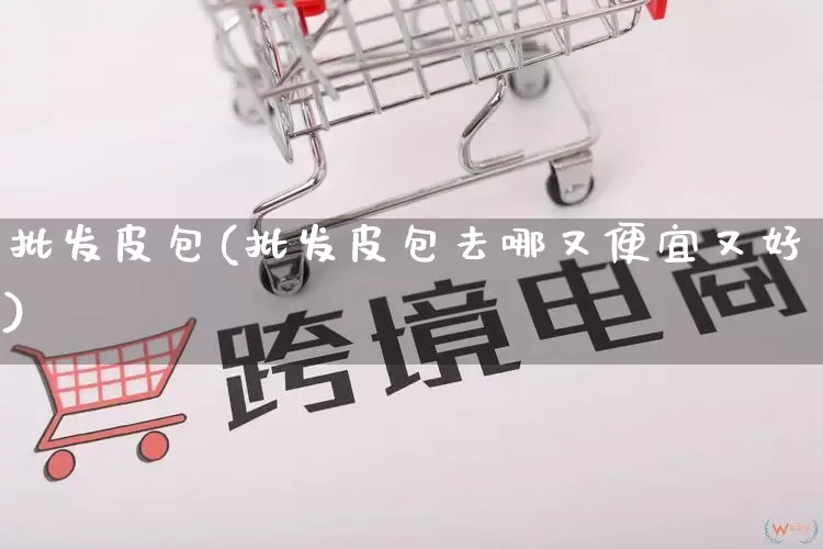 批发皮包(批发皮包去哪又便宜又好)_https://www.rzcpcj.com_抖音快手_第1张