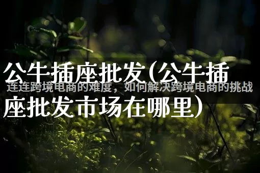 公牛插座批发(公牛插座批发市场在哪里)_https://www.rzcpcj.com_开网店_第1张