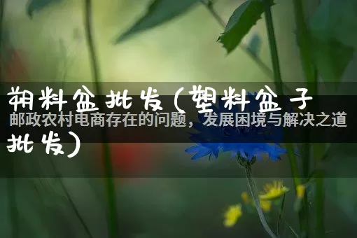 朔料盆批发(塑料盆子批发)_https://www.rzcpcj.com_天猫运营_第1张