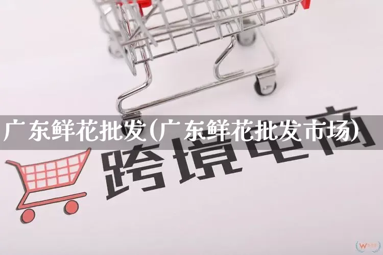 广东鲜花批发(广东鲜花批发市场)_https://www.rzcpcj.com_天猫运营_第1张