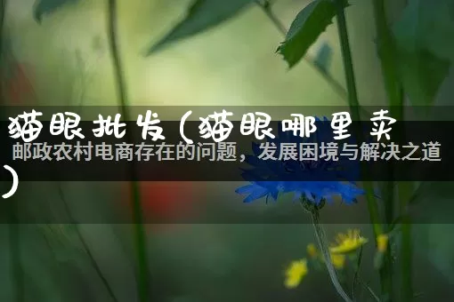 猫眼批发(猫眼哪里卖)_淘宝运营_第1张_电商运营网 猫眼批发(猫眼哪里卖)_https://www.rzcpcj.com_淘宝运营_第1张