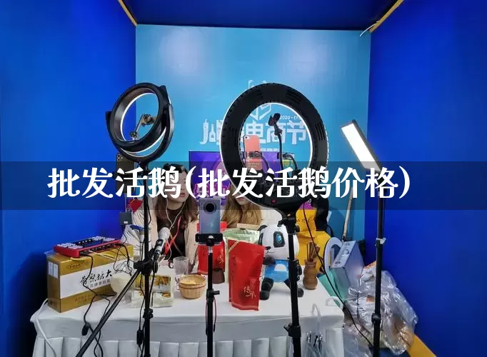 批发活鹅(批发活鹅价格)_https://www.rzcpcj.com_直通车_第1张