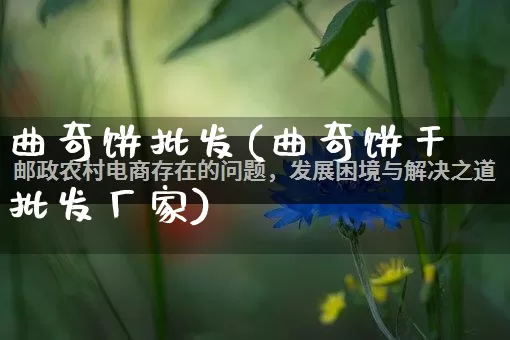 曲奇饼批发(曲奇饼干批发厂家)_https://www.rzcpcj.com_直通车_第1张