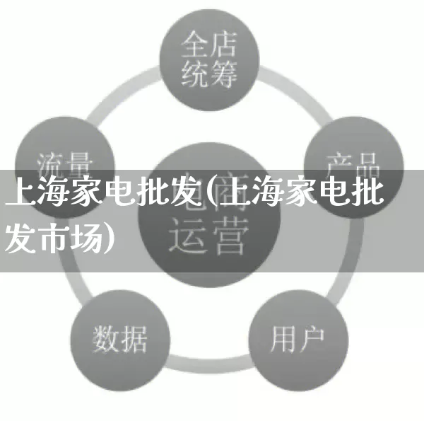 上海家电批发(上海家电批发市场)_https://www.rzcpcj.com_抖音快手_第1张