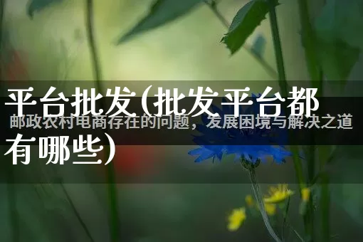 平台批发(批发平台都有哪些)_https://www.rzcpcj.com_天猫运营_第1张