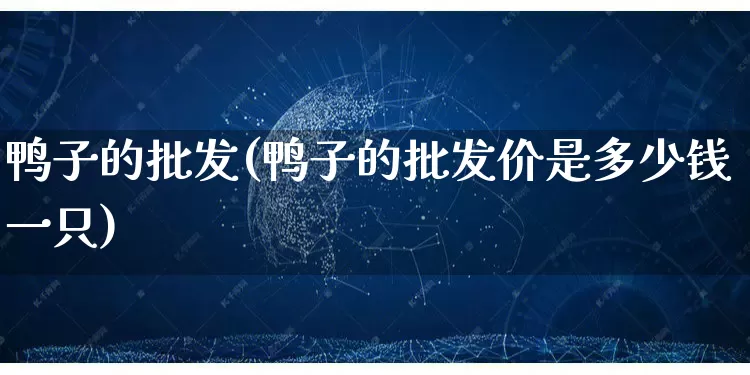 鸭子的批发(鸭子的批发价是多少钱一只)_https://www.rzcpcj.com_直通车_第1张