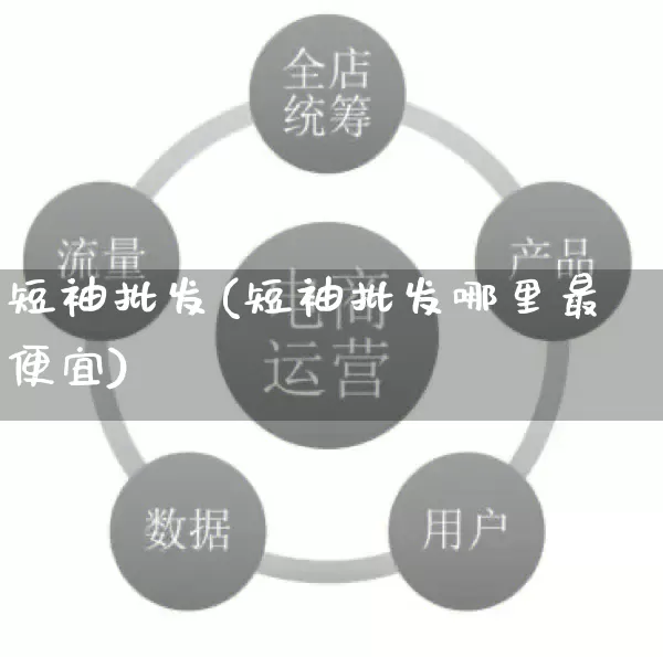 短袖批发(短袖批发哪里最便宜)_https://www.rzcpcj.com_天猫运营_第1张