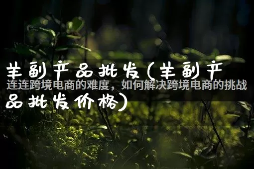羊副产品批发(羊副产品批发价格)_https://www.rzcpcj.com_开网店_第1张