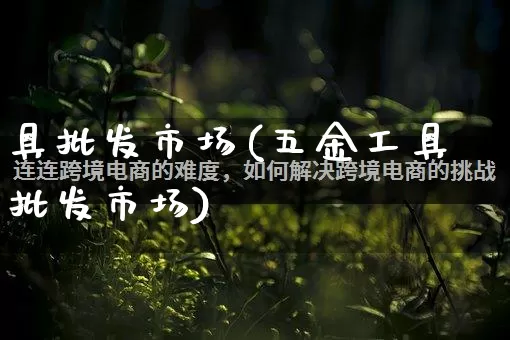 具批发市场(五金工具批发市场)_https://www.rzcpcj.com_代运营_第1张