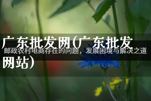 广东批发网(广东批发网站)_https://www.rzcpcj.com_代运营_第1张