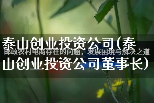 泰山创业投资公司(泰山创业投资公司董事长)_https://www.rzcpcj.com_淘宝运营_第1张