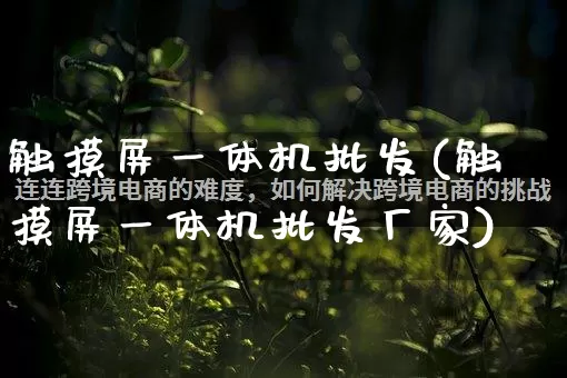 触摸屏一体机批发(触摸屏一体机批发厂家)_https://www.rzcpcj.com_抖音快手_第1张