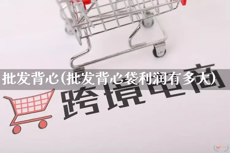 批发背心(批发背心袋利润有多大)_https://www.rzcpcj.com_淘宝运营_第1张
