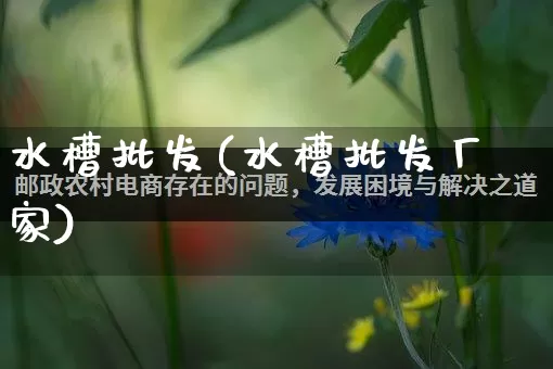 水槽批发(水槽批发厂家)_https://www.rzcpcj.com_开网店_第1张