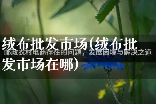 绒布批发市场(绒布批发市场在哪)_https://www.rzcpcj.com_直通车_第1张