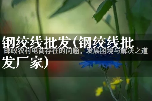 钢绞线批发(钢绞线批发厂家)_https://www.rzcpcj.com_开网店_第1张