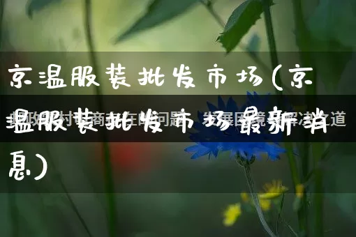 京温服装批发市场(京温服装批发市场最新消息)_https://www.rzcpcj.com_淘宝运营_第1张