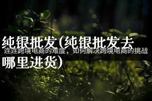 纯银批发(纯银批发去哪里进货)_https://www.rzcpcj.com_直通车_第1张