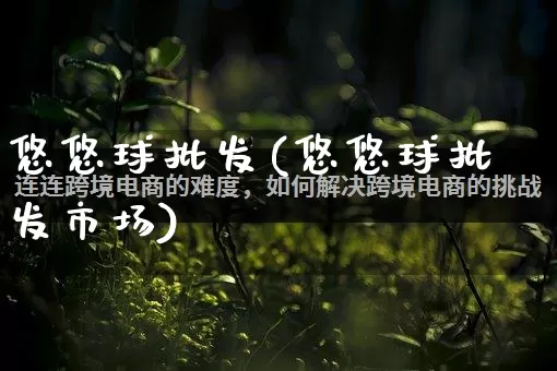 悠悠球批发(悠悠球批发市场)_https://www.rzcpcj.com_代运营_第1张