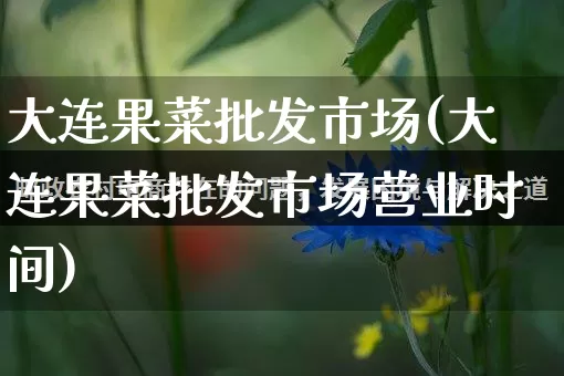 大连果菜批发市场(大连果菜批发市场营业时间)_https://www.rzcpcj.com_淘宝运营_第1张