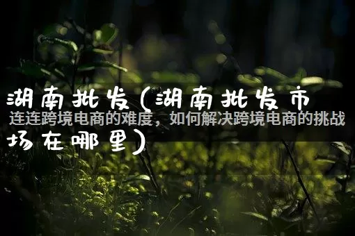 湖南批发(湖南批发市场在哪里)_https://www.rzcpcj.com_代运营_第1张