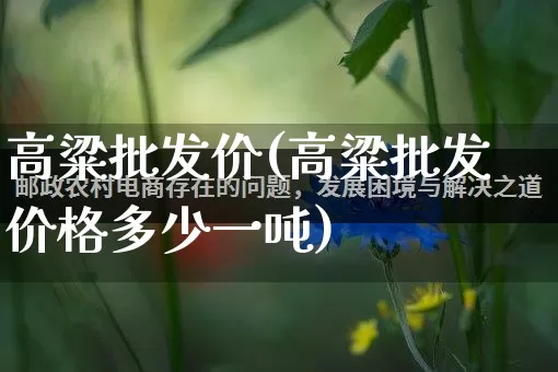 高粱批发价(高粱批发价格多少一吨)_https://www.rzcpcj.com_代运营_第1张