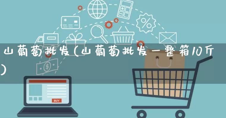 山葡萄批发(山葡萄批发一整箱10斤)_https://www.rzcpcj.com_天猫运营_第1张