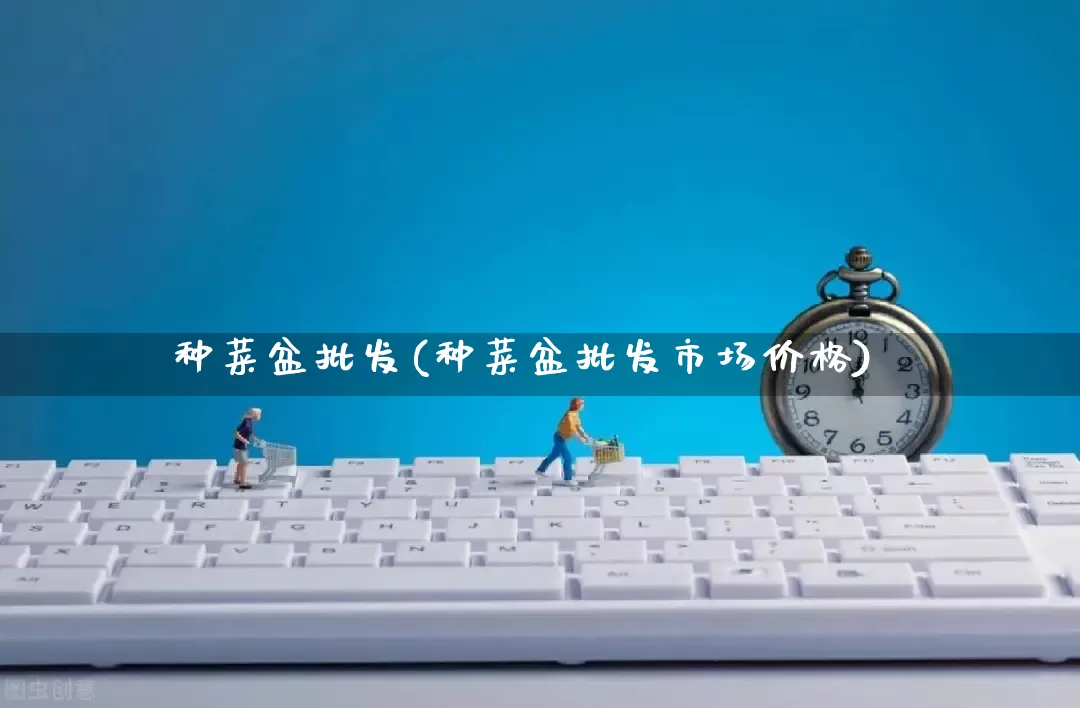 种菜盆批发(种菜盆批发市场价格)_https://www.rzcpcj.com_抖音快手_第1张