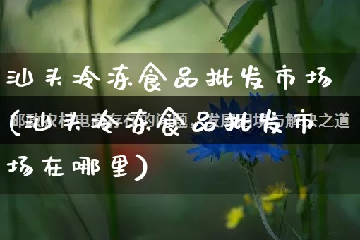 汕头冷冻食品批发市场(汕头冷冻食品批发市场在哪里)_https://www.rzcpcj.com_直通车_第1张