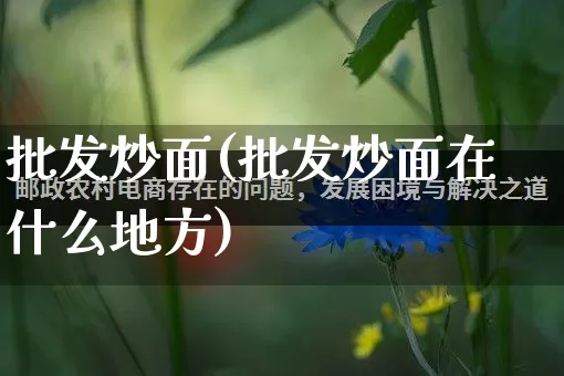 批发炒面(批发炒面在什么地方)_https://www.rzcpcj.com_抖音快手_第1张
