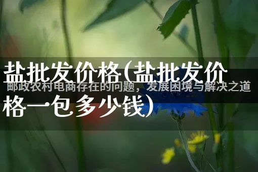 盐批发价格(盐批发价格一包多少钱)_https://www.rzcpcj.com_代运营_第1张