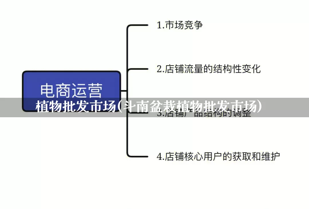 植物批发市场(斗南盆栽植物批发市场)_https://www.rzcpcj.com_直通车_第1张