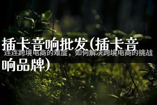 插卡音响批发(插卡音响品牌)_https://www.rzcpcj.com_代运营_第1张