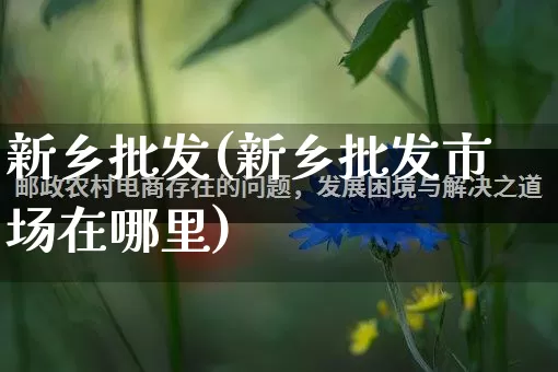 新乡批发(新乡批发市场在哪里)_https://www.rzcpcj.com_代运营_第1张
