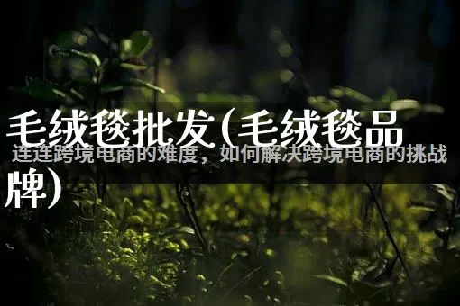 毛绒毯批发(毛绒毯品牌)_https://www.rzcpcj.com_直通车_第1张