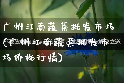 广州江南蔬菜批发市场(广州江南蔬菜批发市场价格行情)_https://www.rzcpcj.com_直通车_第1张
