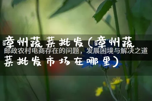 漳州蔬菜批发(漳州蔬菜批发市场在哪里)_https://www.rzcpcj.com_天猫运营_第1张