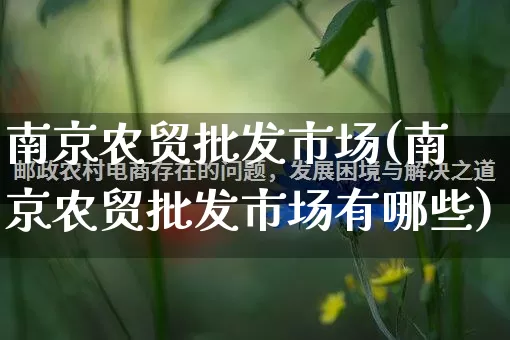 南京农贸批发市场(南京农贸批发市场有哪些)_https://www.rzcpcj.com_天猫运营_第1张