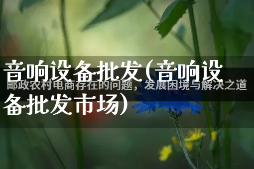 音响设备批发(音响设备批发市场)_https://www.rzcpcj.com_直通车_第1张