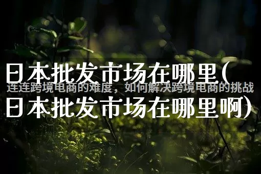日本批发市场在哪里(日本批发市场在哪里啊)_https://www.rzcpcj.com_抖音快手_第1张