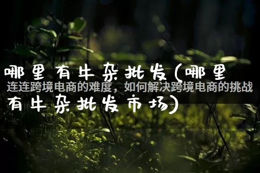 哪里有牛杂批发(哪里有牛杂批发市场)_https://www.rzcpcj.com_直通车_第1张