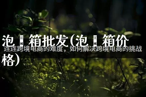 泡沬箱批发(泡沬箱价格)_https://www.rzcpcj.com_代运营_第1张