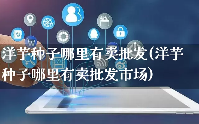 洋芋种子哪里有卖批发(洋芋种子哪里有卖批发市场)_https://www.rzcpcj.com_天猫运营_第1张