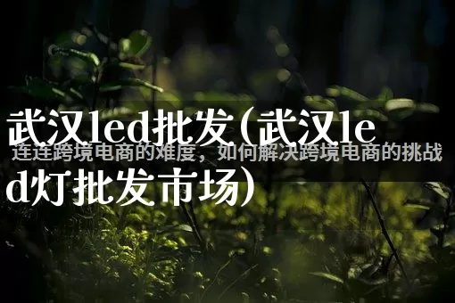 武汉led批发(武汉led灯批发市场)_https://www.rzcpcj.com_淘宝运营_第1张