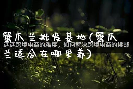 蟹爪兰批发基地(蟹爪兰适合在哪里养)_https://www.rzcpcj.com_抖音快手_第1张