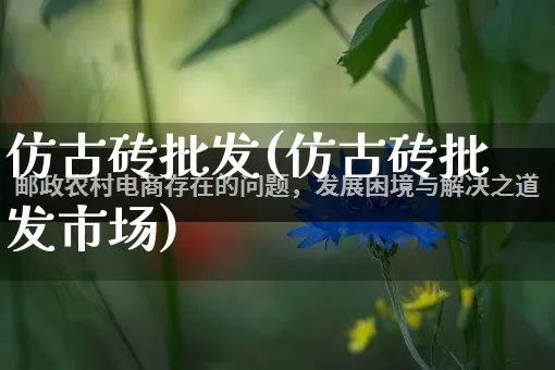 仿古砖批发(仿古砖批发市场)_https://www.rzcpcj.com_直通车_第1张