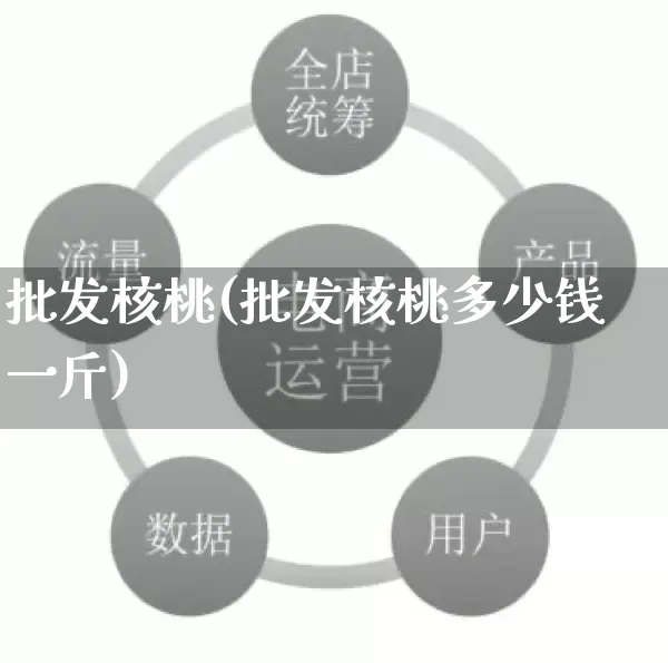 批发核桃(批发核桃多少钱一斤)_https://www.rzcpcj.com_淘宝运营_第1张